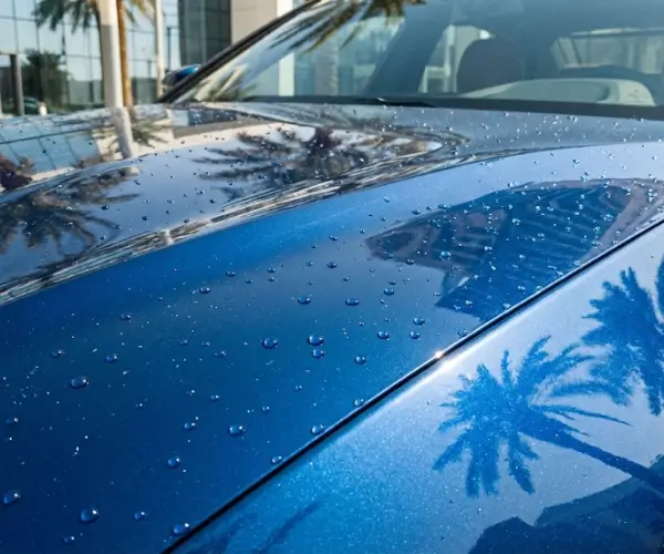 Hydrophobic & UV-Resistant Protection